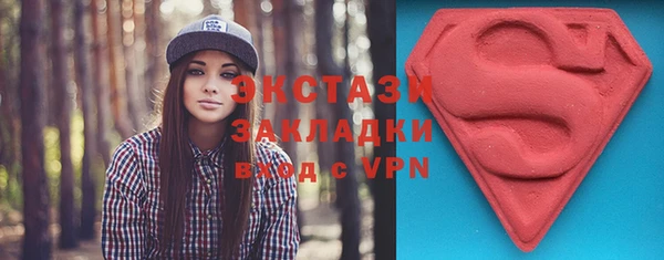 крисы Корсаков