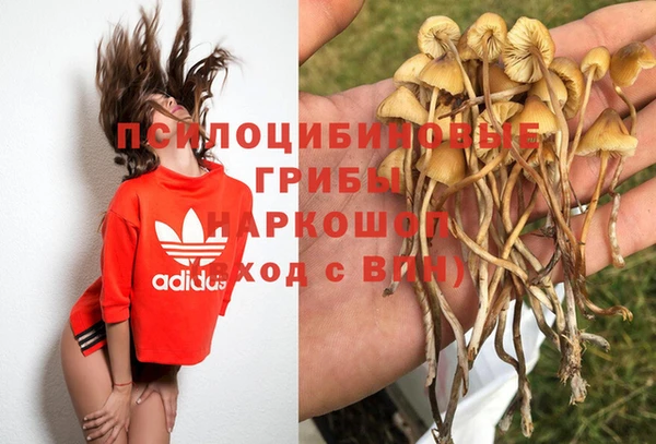 марки lsd Краснослободск