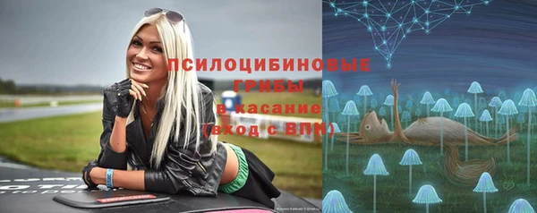 крисы Корсаков