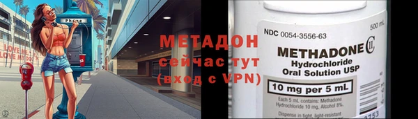 крисы Корсаков
