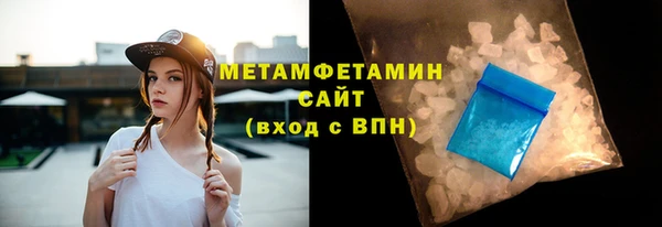 крисы Корсаков