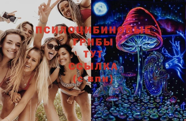 индика Кодинск