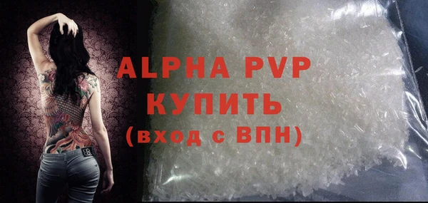крисы Корсаков
