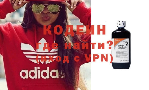 крисы Корсаков