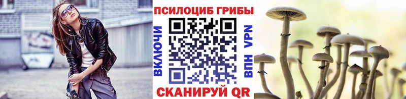 Галлюциногенные грибы Psilocybine cubensis  Кизляр 
