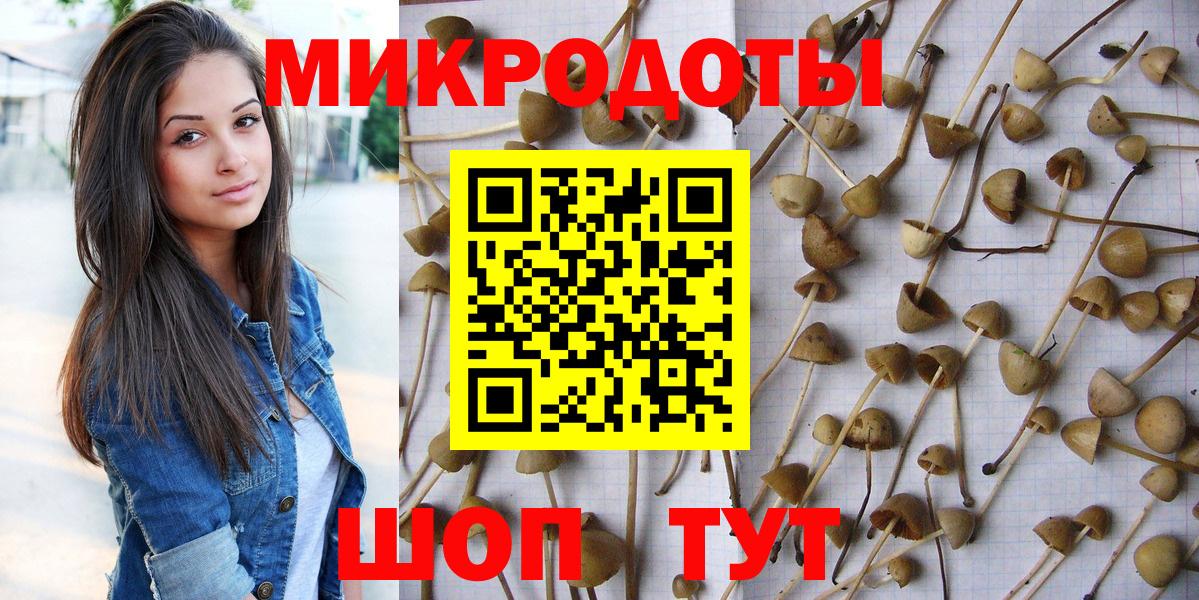 Псилоцибиновые грибы Cubensis  Вход с VPN  Кизляр  Псилоцибиновые грибы Magic Shrooms 